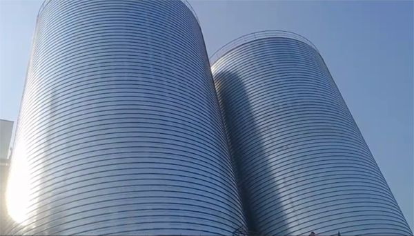 宁陵2座混凝土高架卷板仓